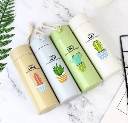 Cactus Design Insulated Water Bottle – 500ml Transparent ABS Plastic Gym Bottle, Leak-Proof & Durable | 1 Pc - JSJunoon.com