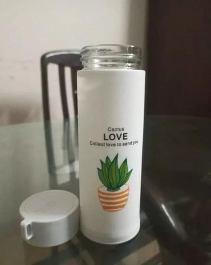 Cactus Design Insulated Water Bottle – 500ml Transparent ABS Plastic Gym Bottle, Leak-Proof & Durable | 1 Pc - JSJunoon.com