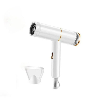 Professional Hair Dryer – High Power Ionic Blow Dryer for Fast Drying, White - JSJunoon.com